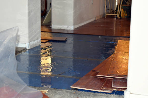 Professional Burst Pipe Cleanup technician working in Logan, WV